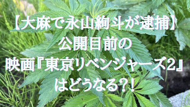 【大麻で永山絢斗が逮捕】公開目前の映画『東京リベンジャーズ2』はどうなる？！