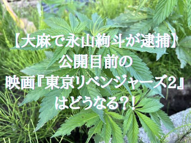 【大麻で永山絢斗が逮捕】公開目前の映画『東京リベンジャーズ2』はどうなる？！